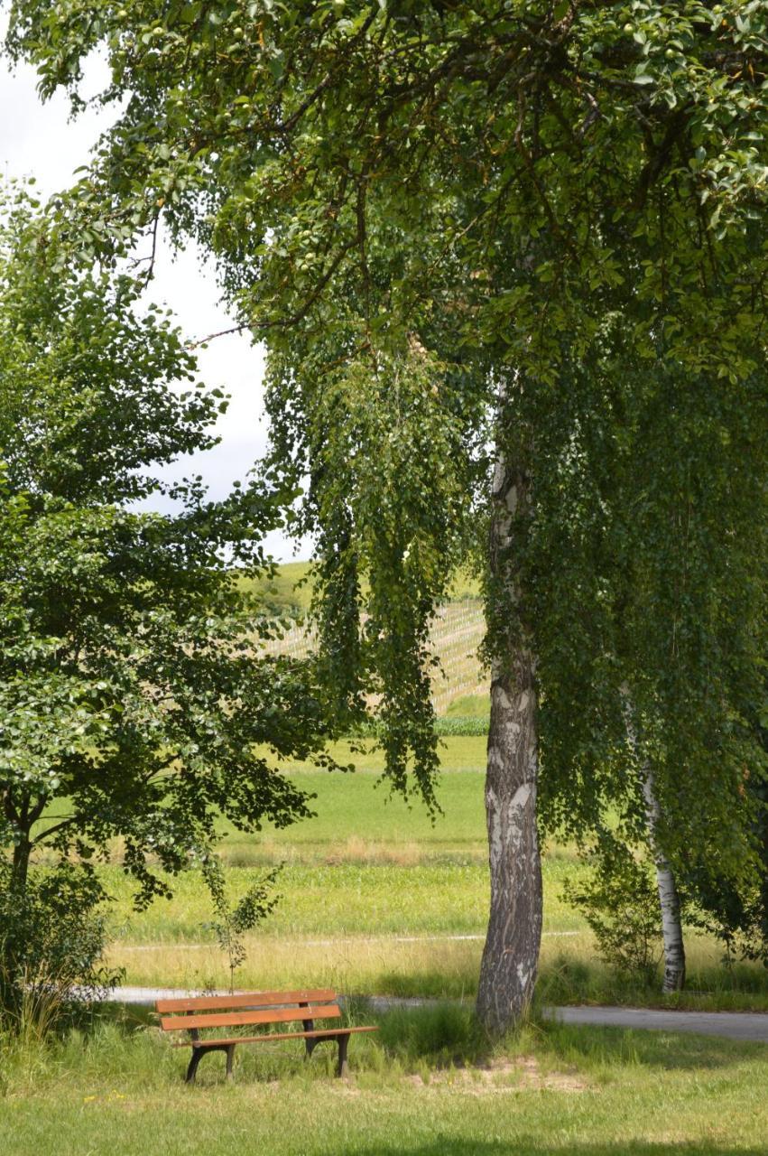 Fruehstueckspension Krump Bad Waltersdorf Bagian luar foto